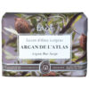 aleppo argan