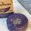 schampobar lavendel